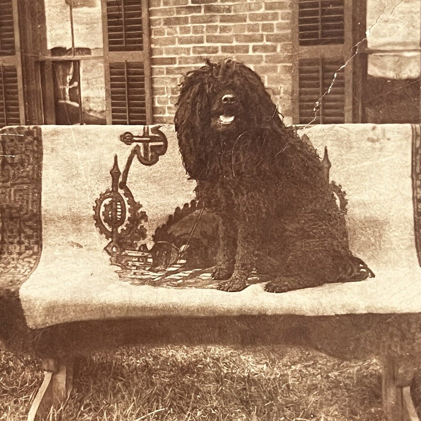Antique Cabinet Card Photograph Happy Beloved Black Puli Dog Sitting On Bench