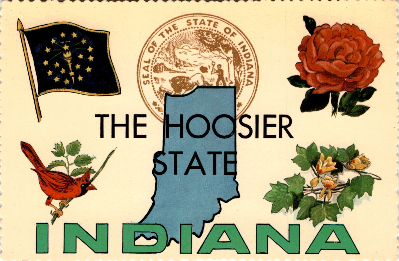 INDIANA, Territory, Union, Indianapolis, Peony, Cardinal, Tulip, Postcard