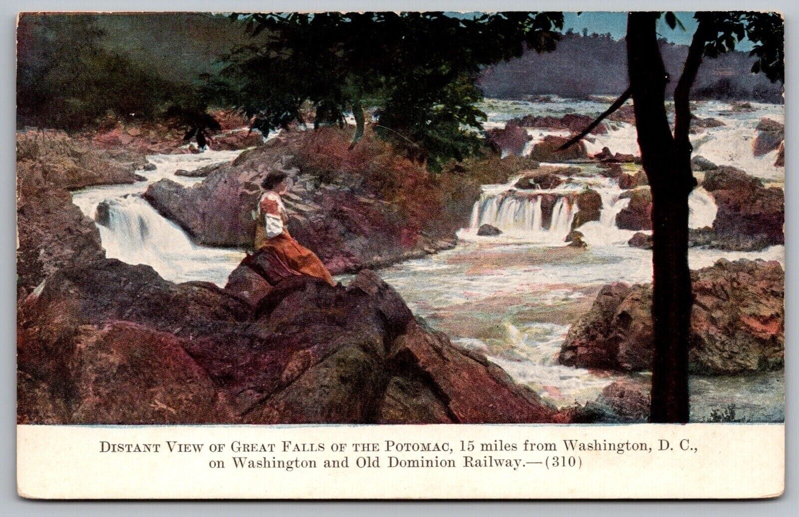 Distant View Of Great Falls Of Potomac Washington DC UNP Postcards