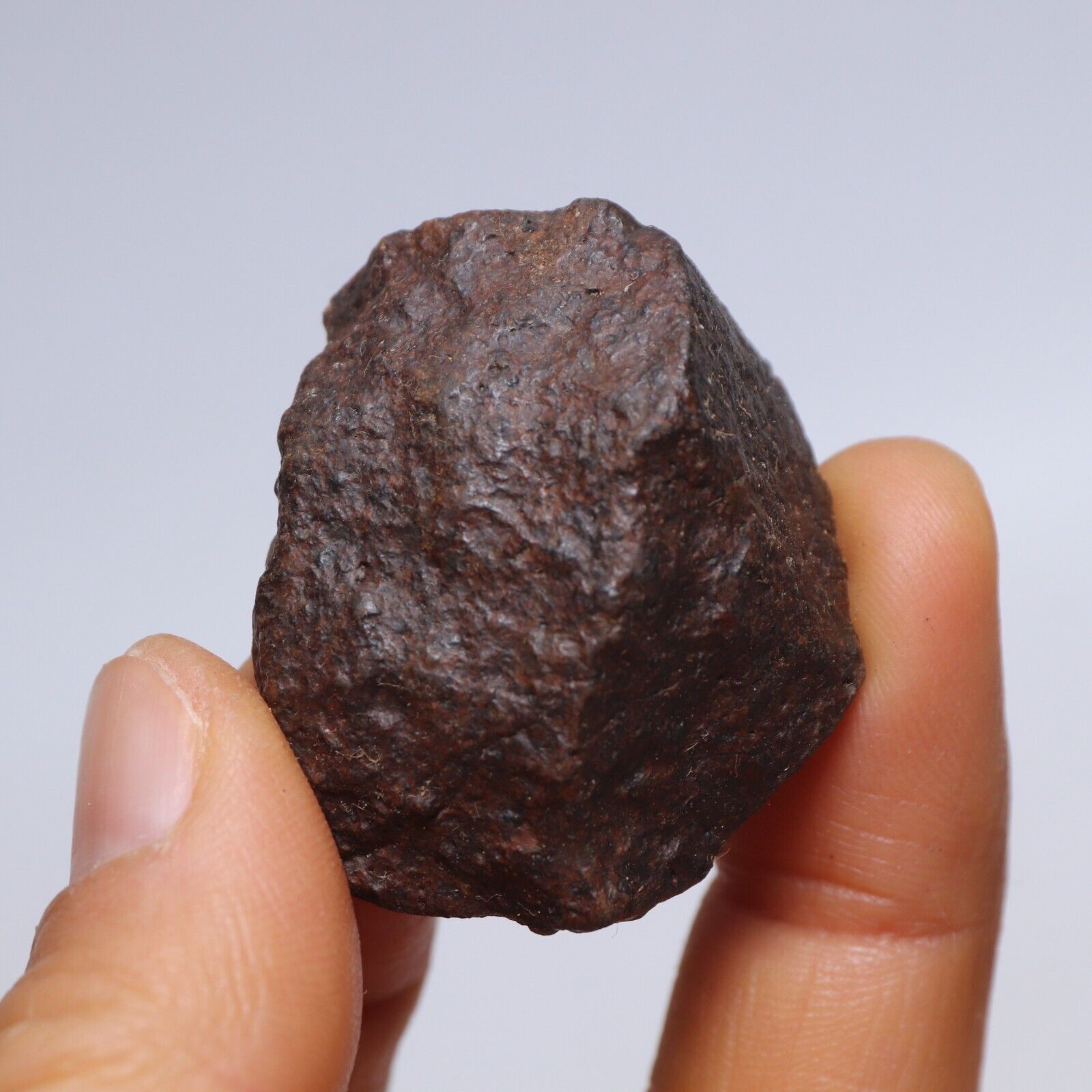 27g NWA chondrite, Unclassified meteorite,Meteorite Space Rock,collection B2905