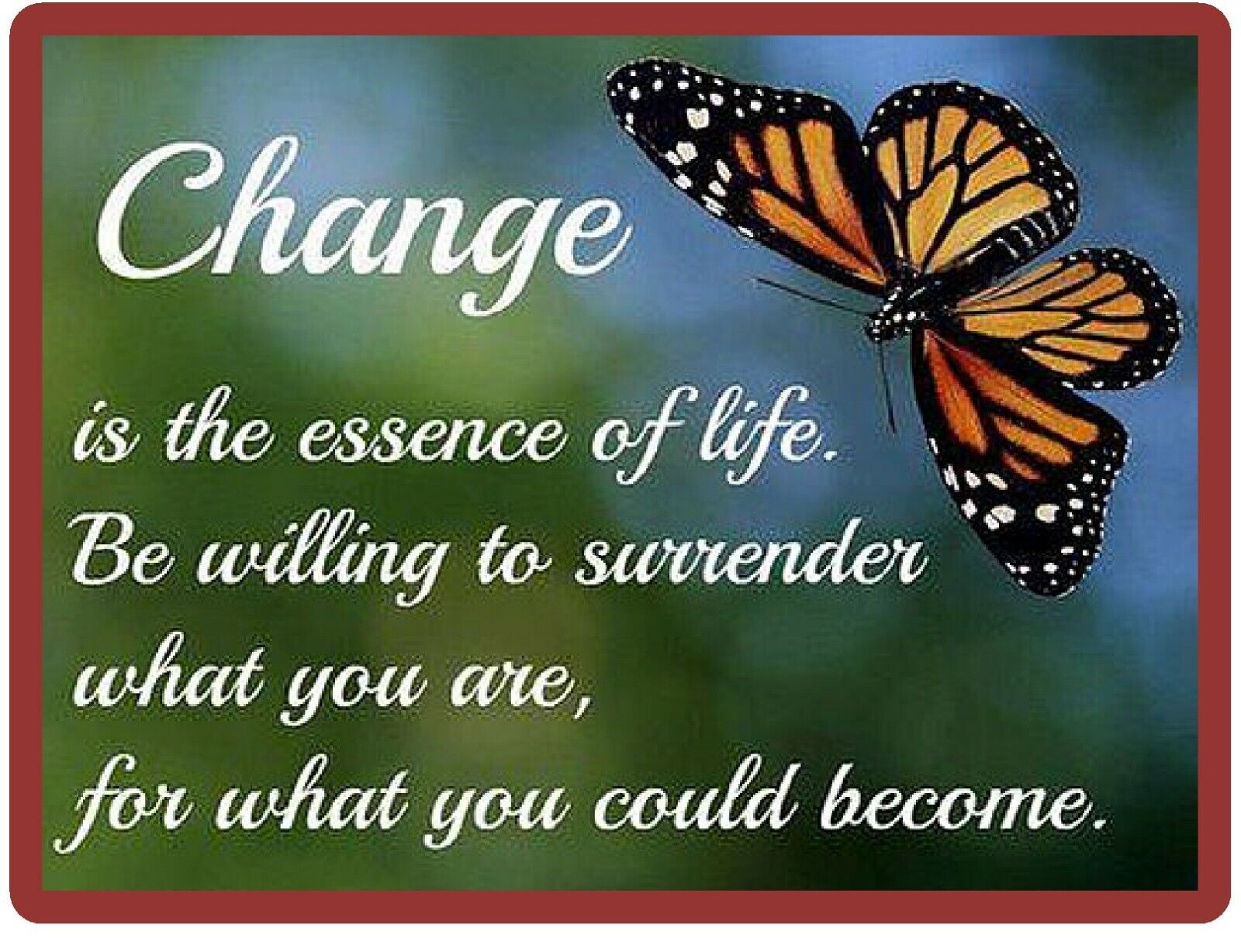 Butterfly Quote Inspirational Refrigerator / Tool Box Magnet  