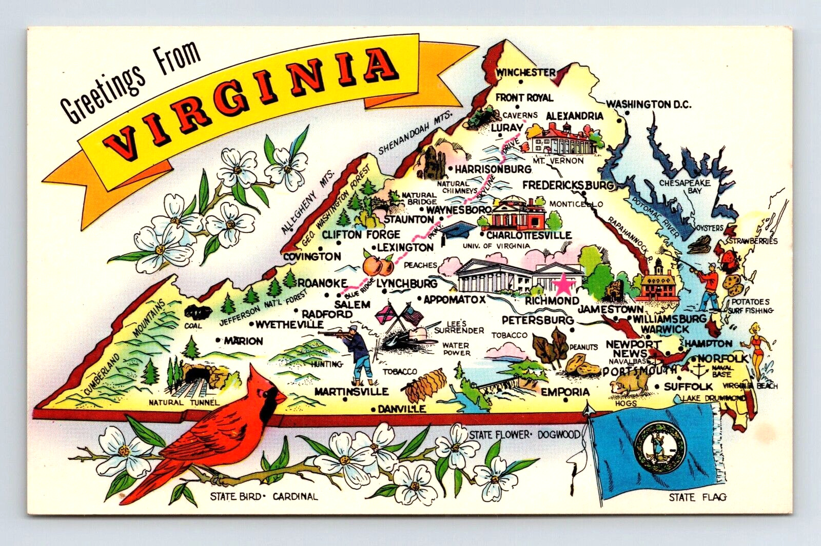Vtg. postcard GREETINGS FROM VIRGINIA 3.5 x 5.5 inch