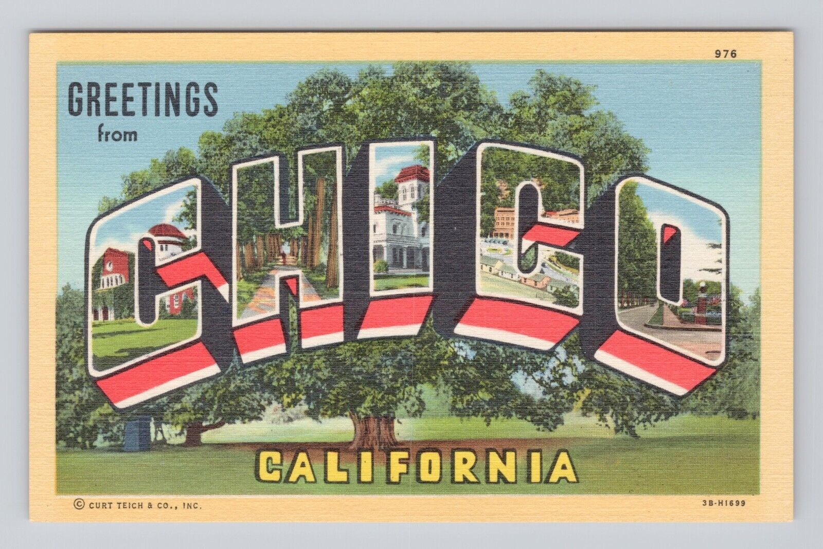 Postcard Greetings from Chico California Large Letters