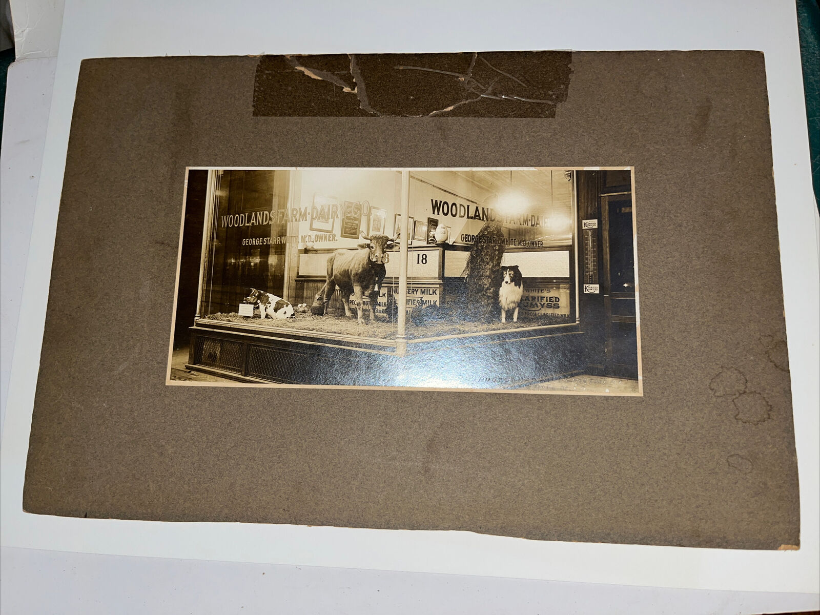 Antique Cabinet Card Photograph Woodlands Farm Dairy Yonkers NY New York History