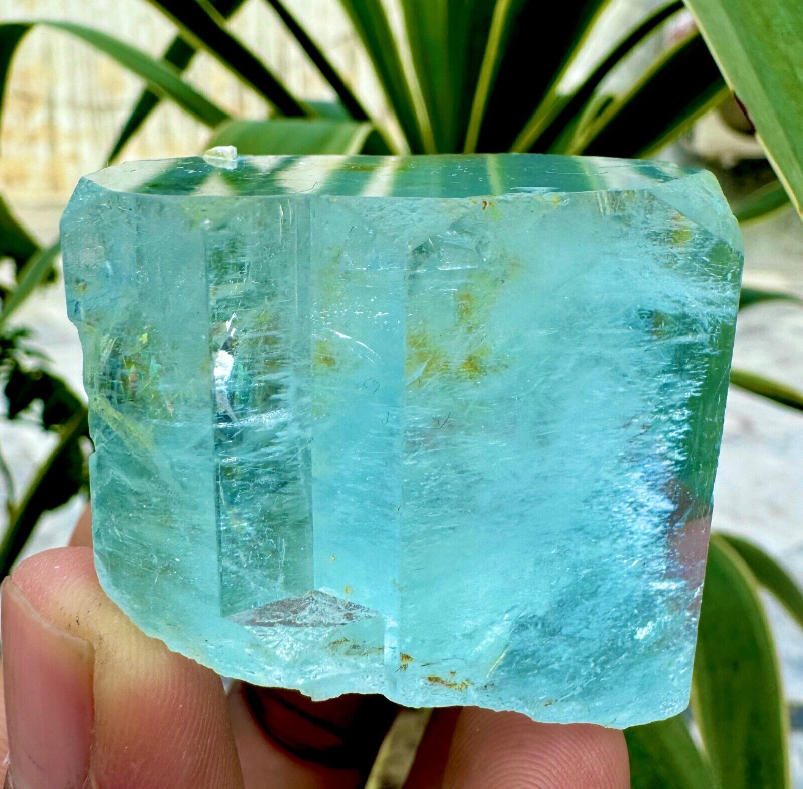 118 Gram Transparent Blue Aquamarine Crystal Specimen @ Mineral Specimens