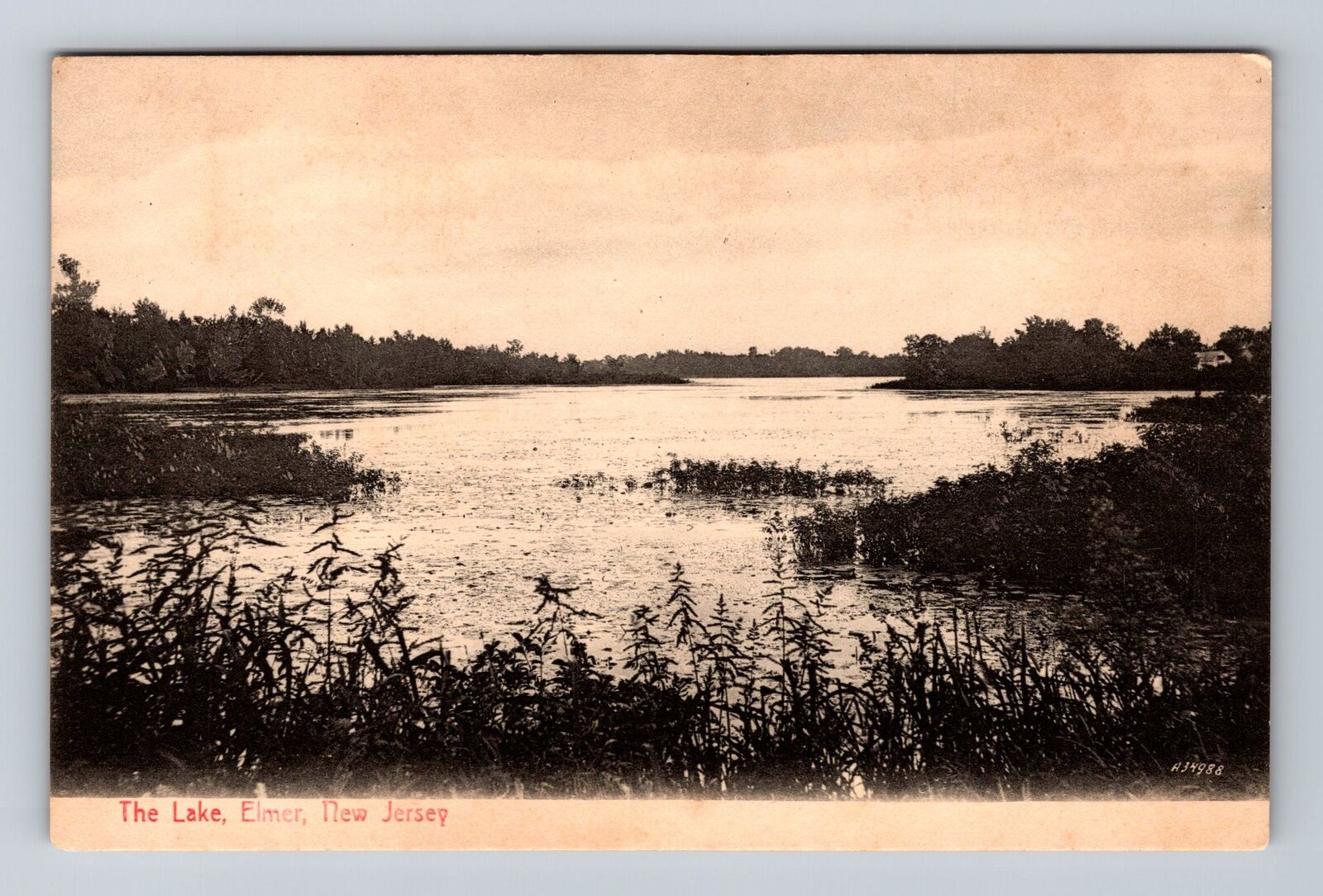 Elmer NJ-New Jersey, Scenic Panoramic View the Lake, Antique Vintage Postcard
