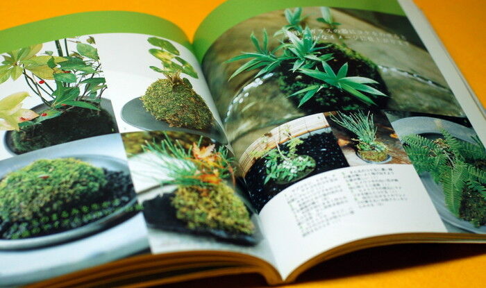 Japanese MINI SMALL BONSAI & KOKE DAMA Interior BOOK from Japan rare #0014