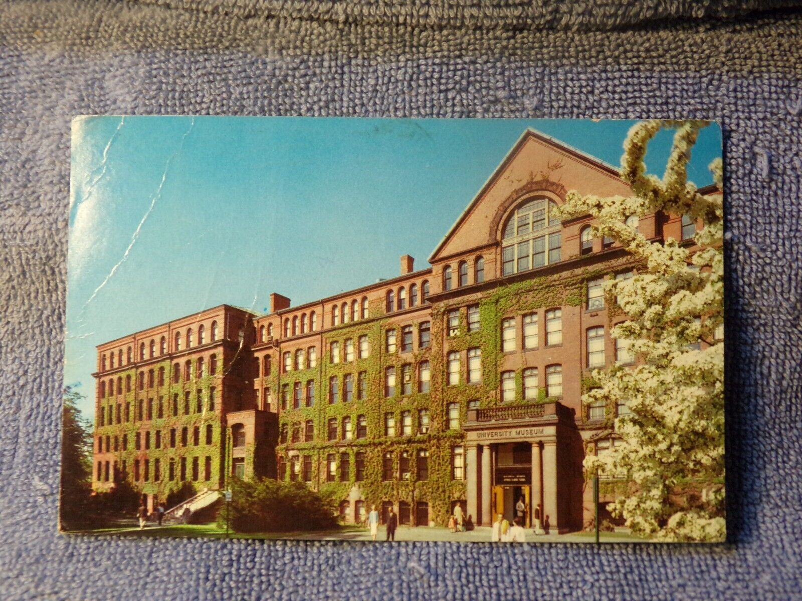 Vintage Postcard Howard University Museum, Mass.