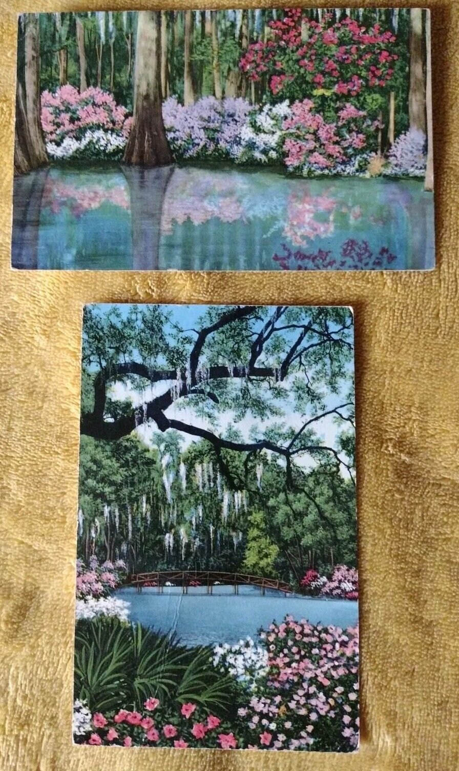Cypress Gardens + Middleton Gardens Charlotte NC Postcard Vintage 