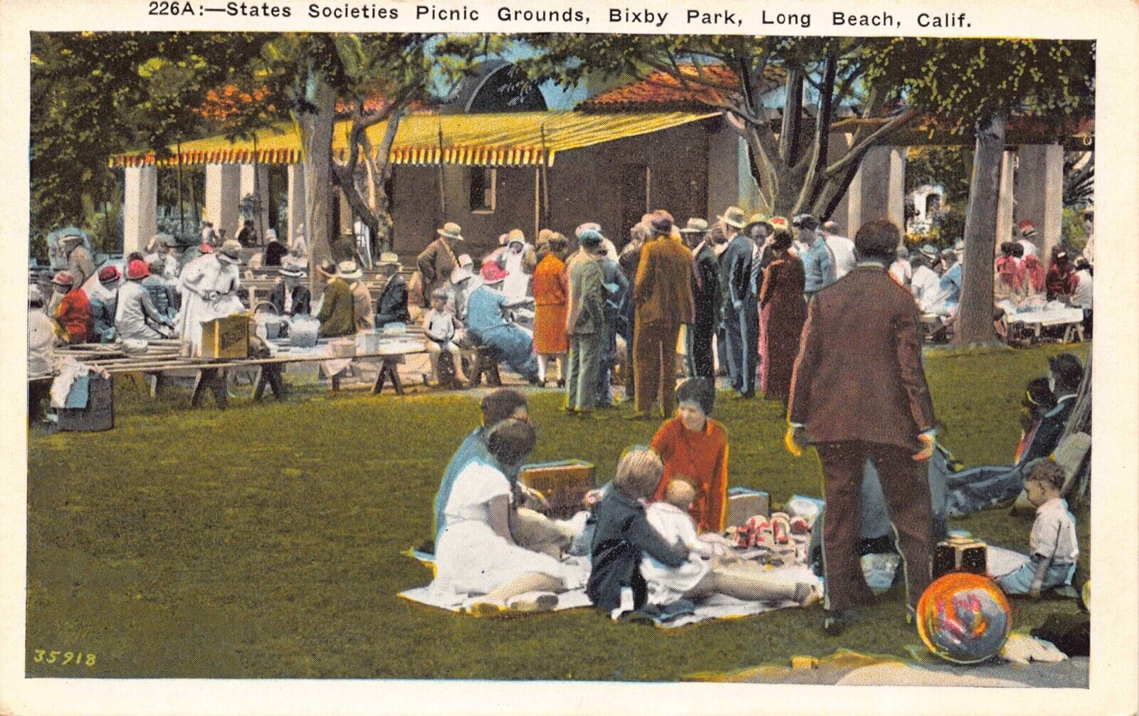 Postcard States Societies Picnic Grounds Bixby Park Long Beach California~128640