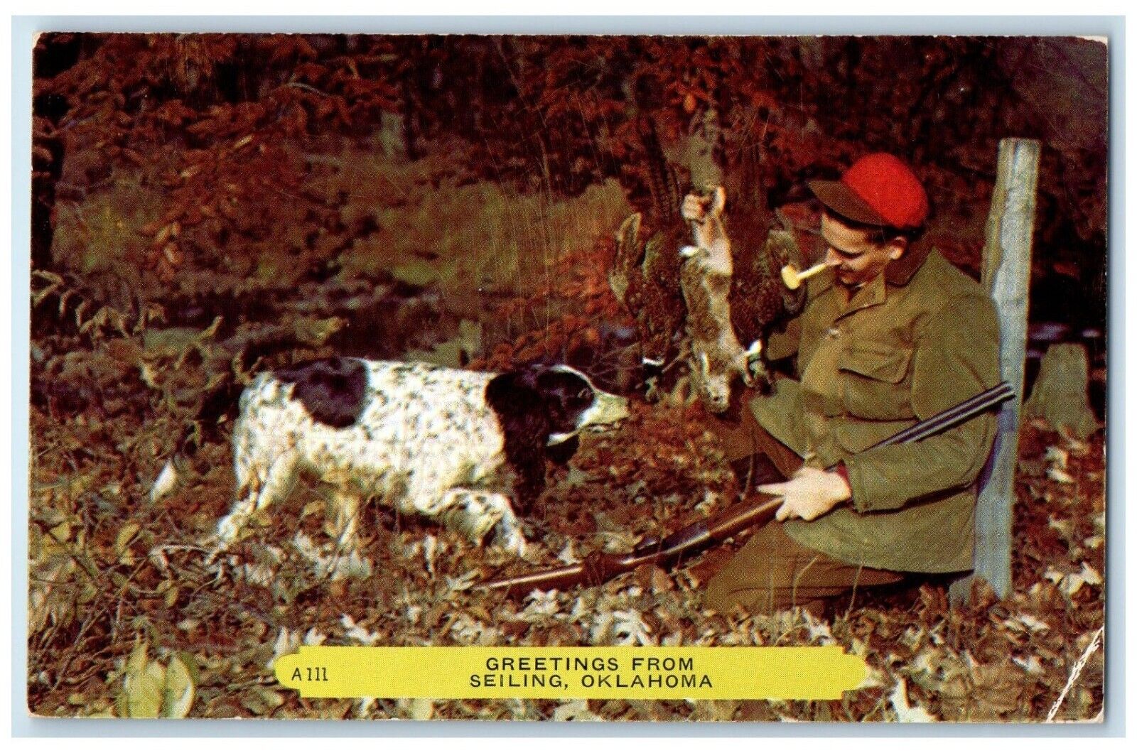 1956 Greetings From Seiling Oklahoma OK, Man Dog Hunting Posted Vintage Postcard