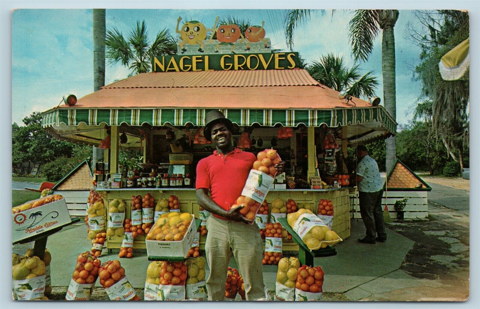 Postcard FL Cypress Gardens Florida Nagel Groves & Packing House Fruit Stand AA1