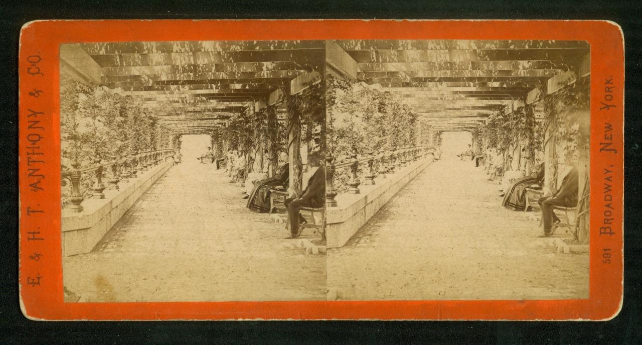 a735, E & H T Anthony Stereoview, #7234, The Vine Clad Arbor, Central Park 1870s