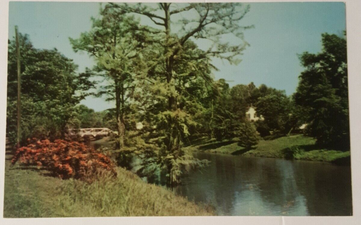 Vintage MISSISSIPPI postcard Deer Creek & Bridge Leland MS 1960\'s 