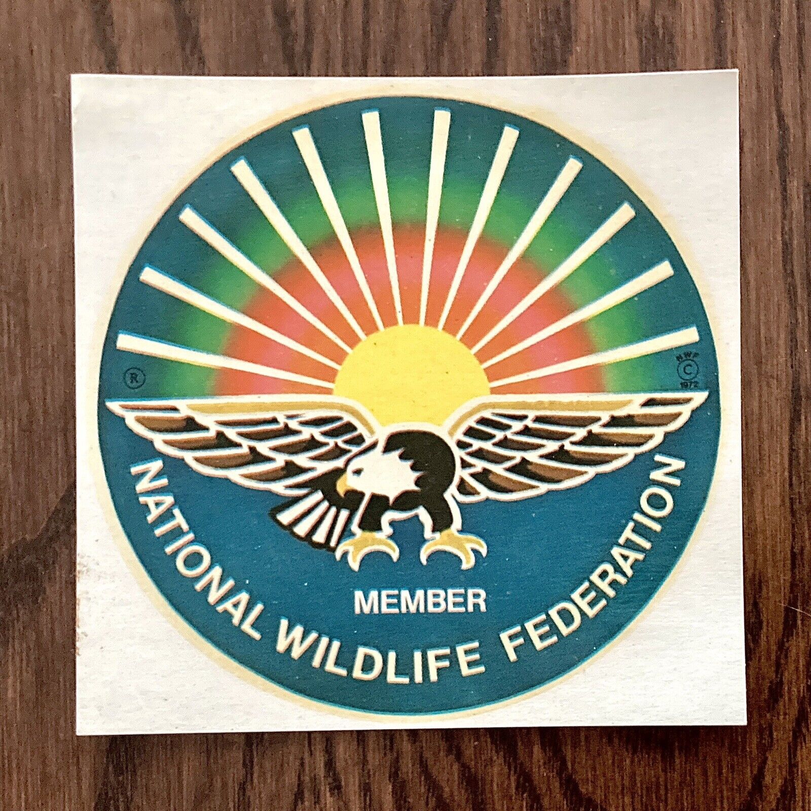 Vintage National Wildlife Federation Member Sticker  Decal - 3.5”, New, Bright