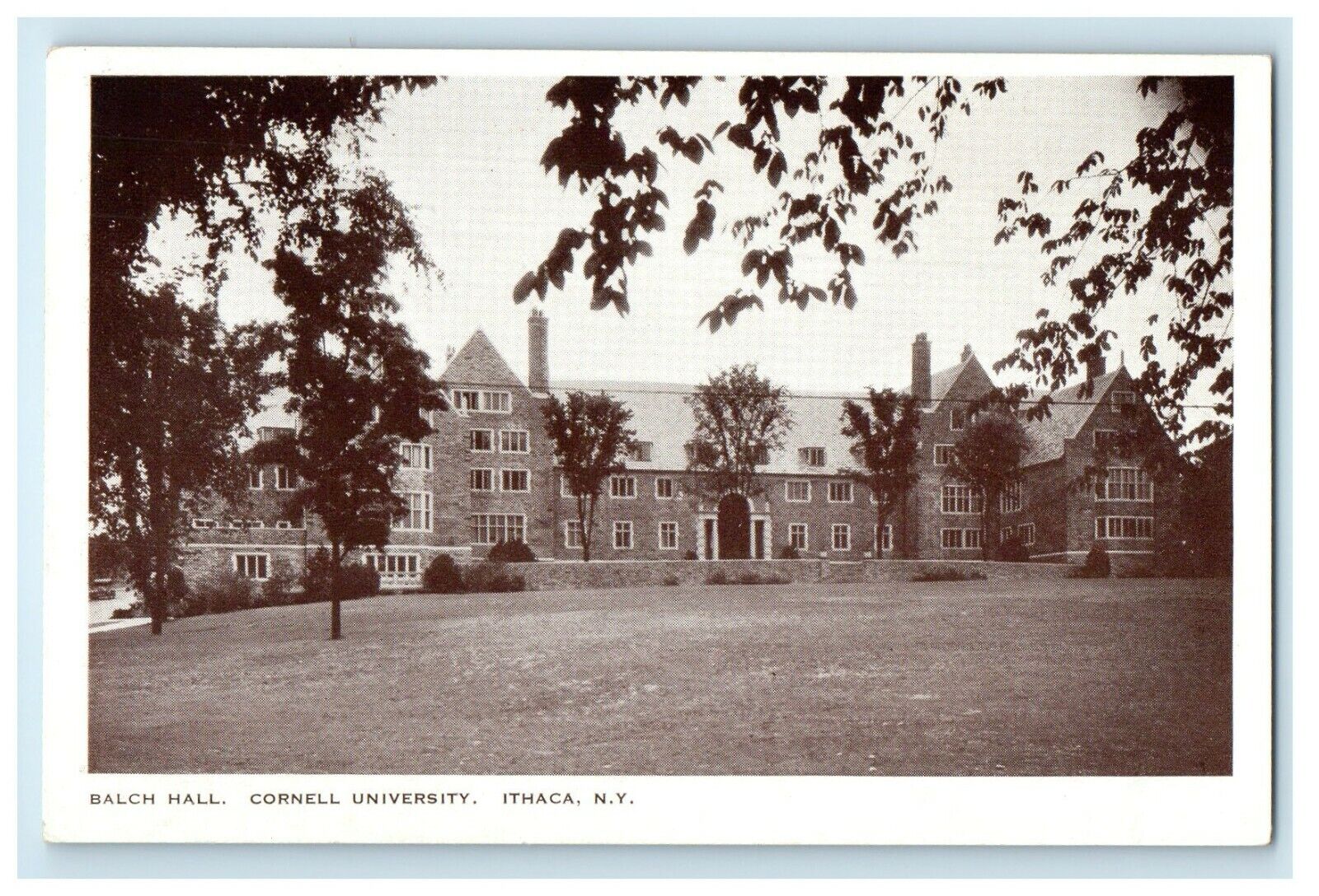 c1910\'s Balch Hall Cornell University Ithaca New York NY Antique Postcard