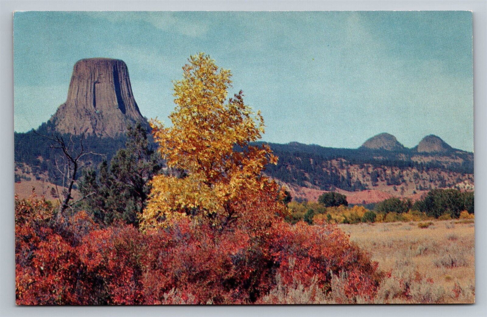 WY Devils Tower National Monument Scenic View near Highways 14 & 16 Vtg Postcard