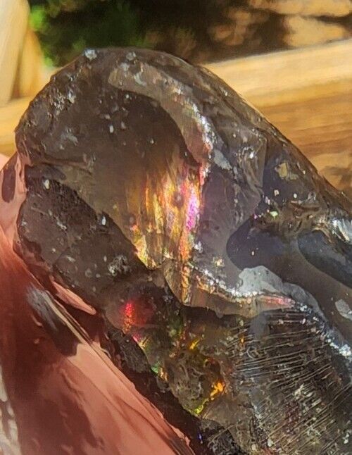 FIRE OBSIDIAN - AAA+ Quality - VERY RARE Rough From GLASS BUTTE OR. (148 grams) 