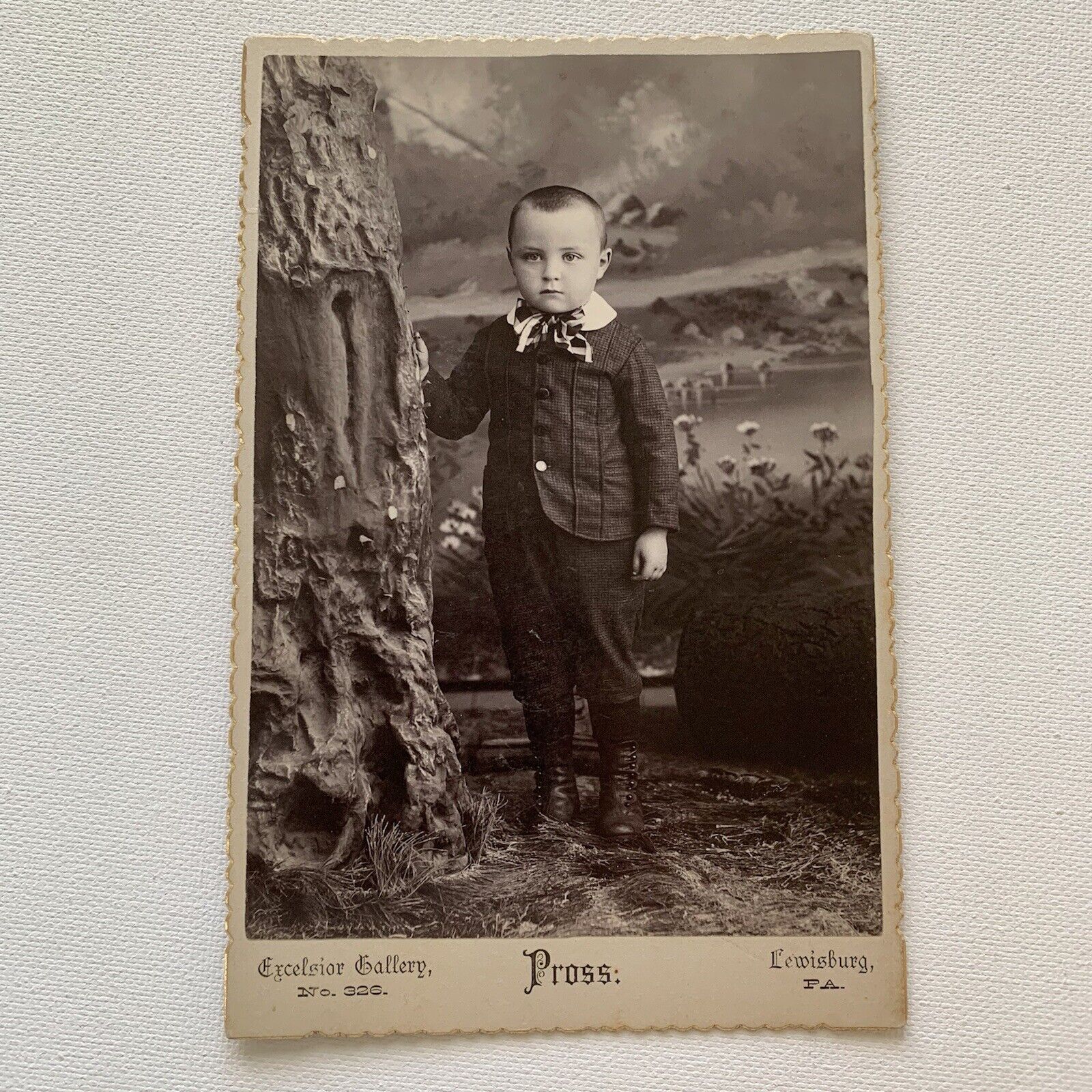 Antique Photograph Cabinet Card Adorable Little Boy Great Backdrop Lewisburg PA