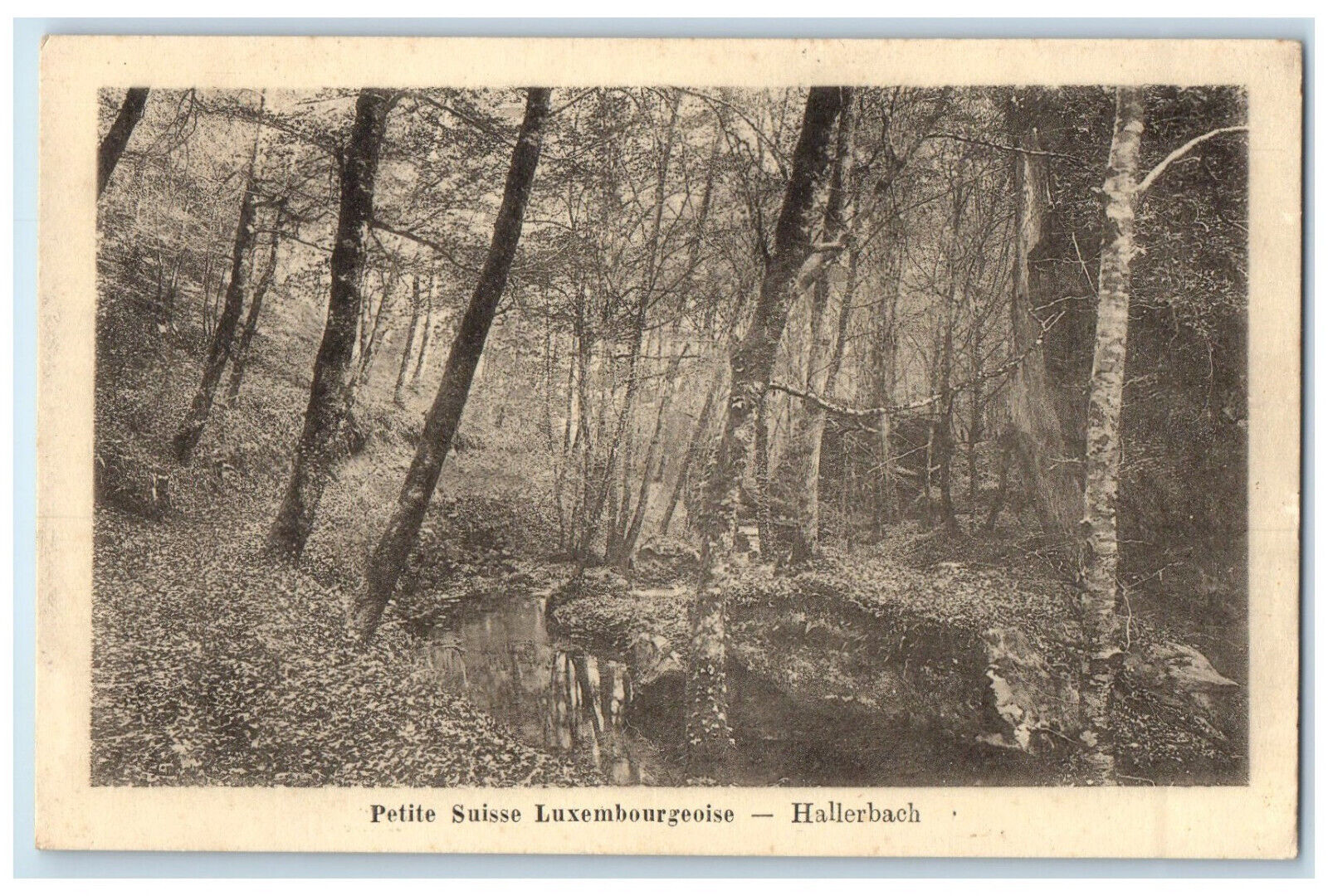 c1930's Little Switzerland Luxembourgish Hallerbach Unposted Postcard