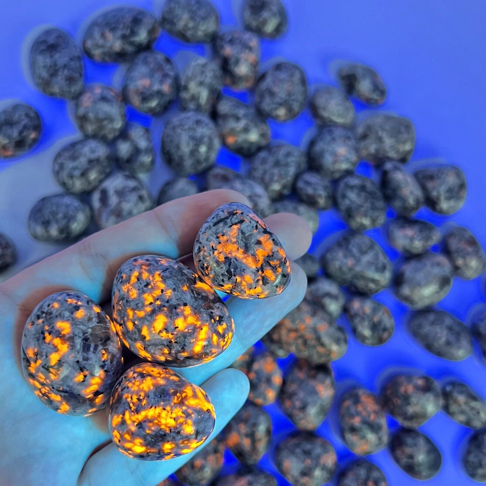 5 PCS Natural Yooperlite Tumbled Stone UV Reactive Flame Gemstone Home Decor
