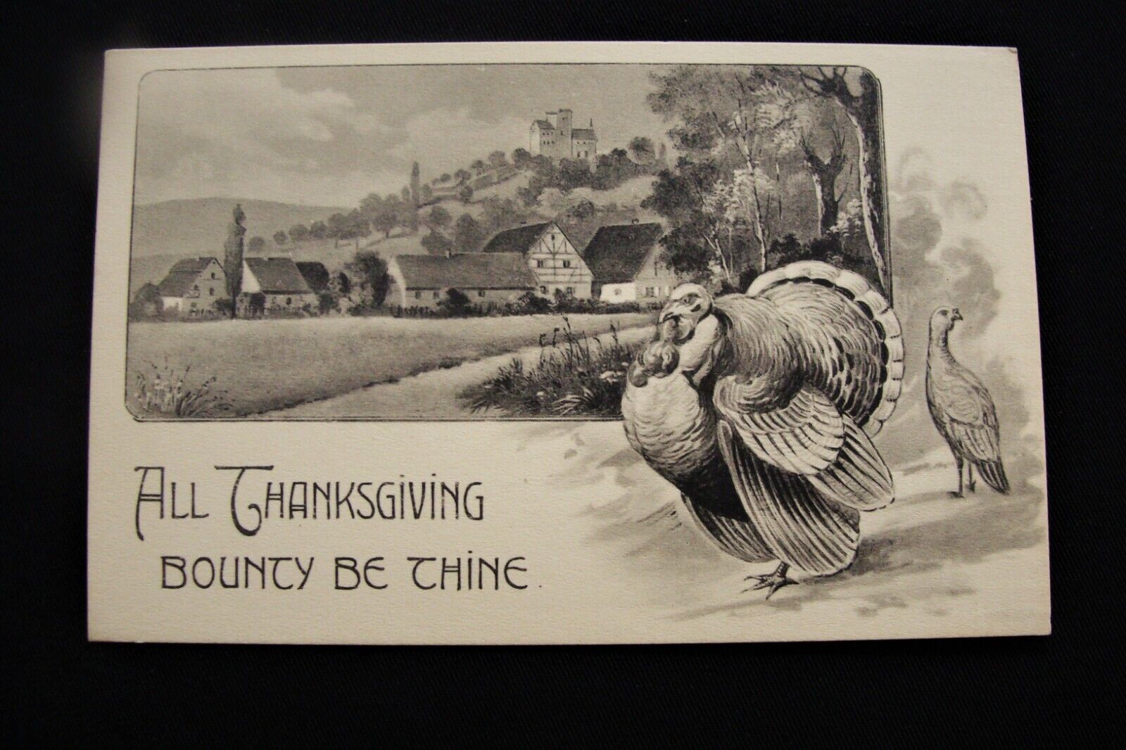 Proud Turkey by Farm Land All Thanksgiving Bounty Be Thine Postcard