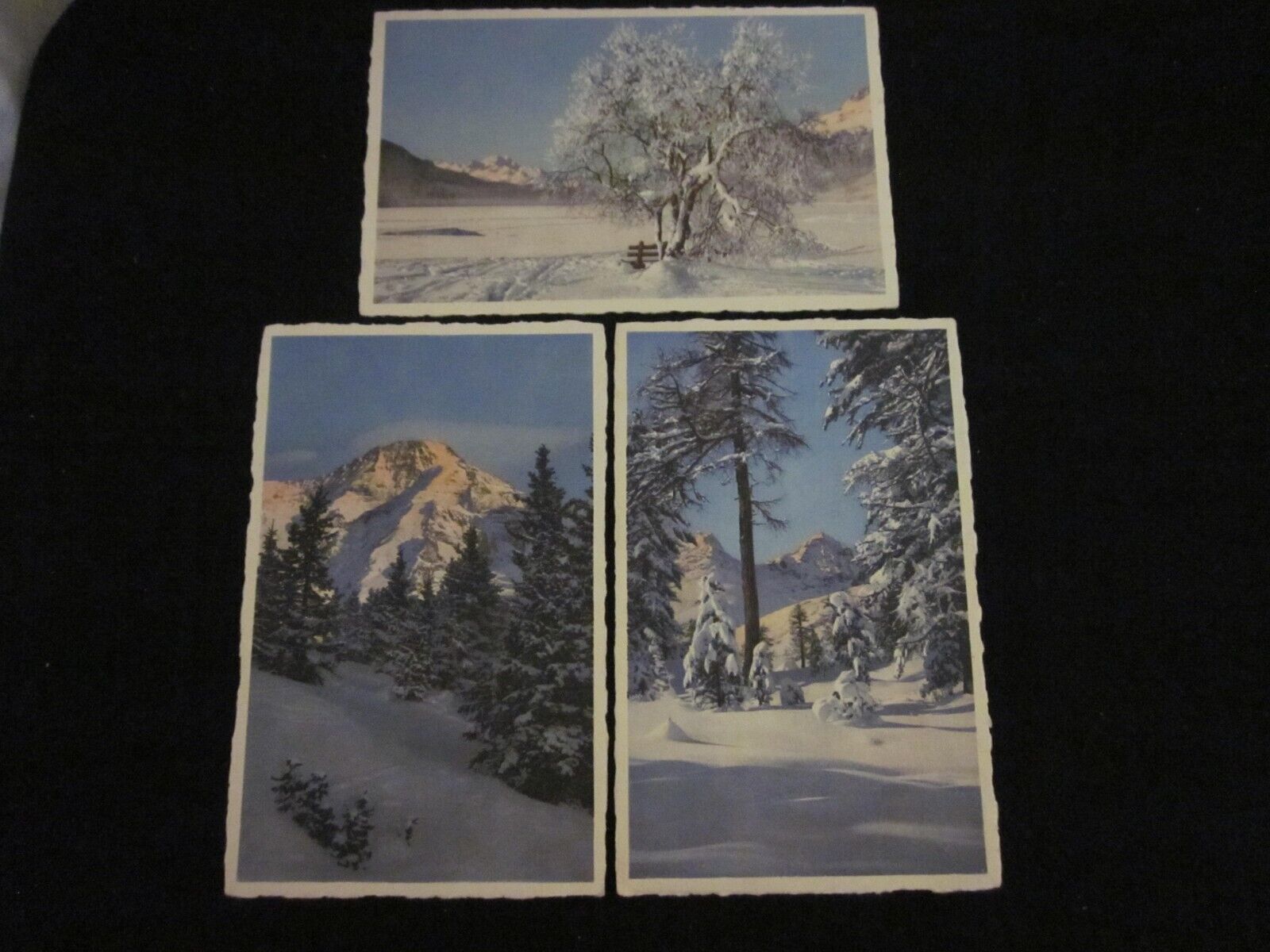 Lot of 3 Schweitz Switzerland Suisse Nature snow scenes unposted postcards