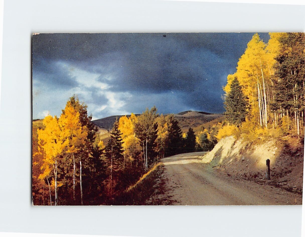 Postcard Aspen Time In New Mexico USA