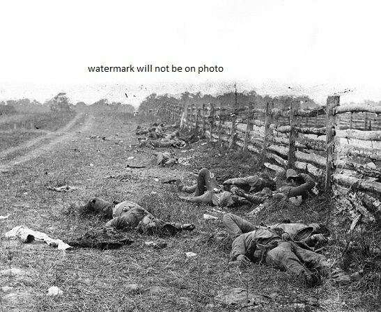 Dead Confederate Soldiers Battle of Antietam 8\
