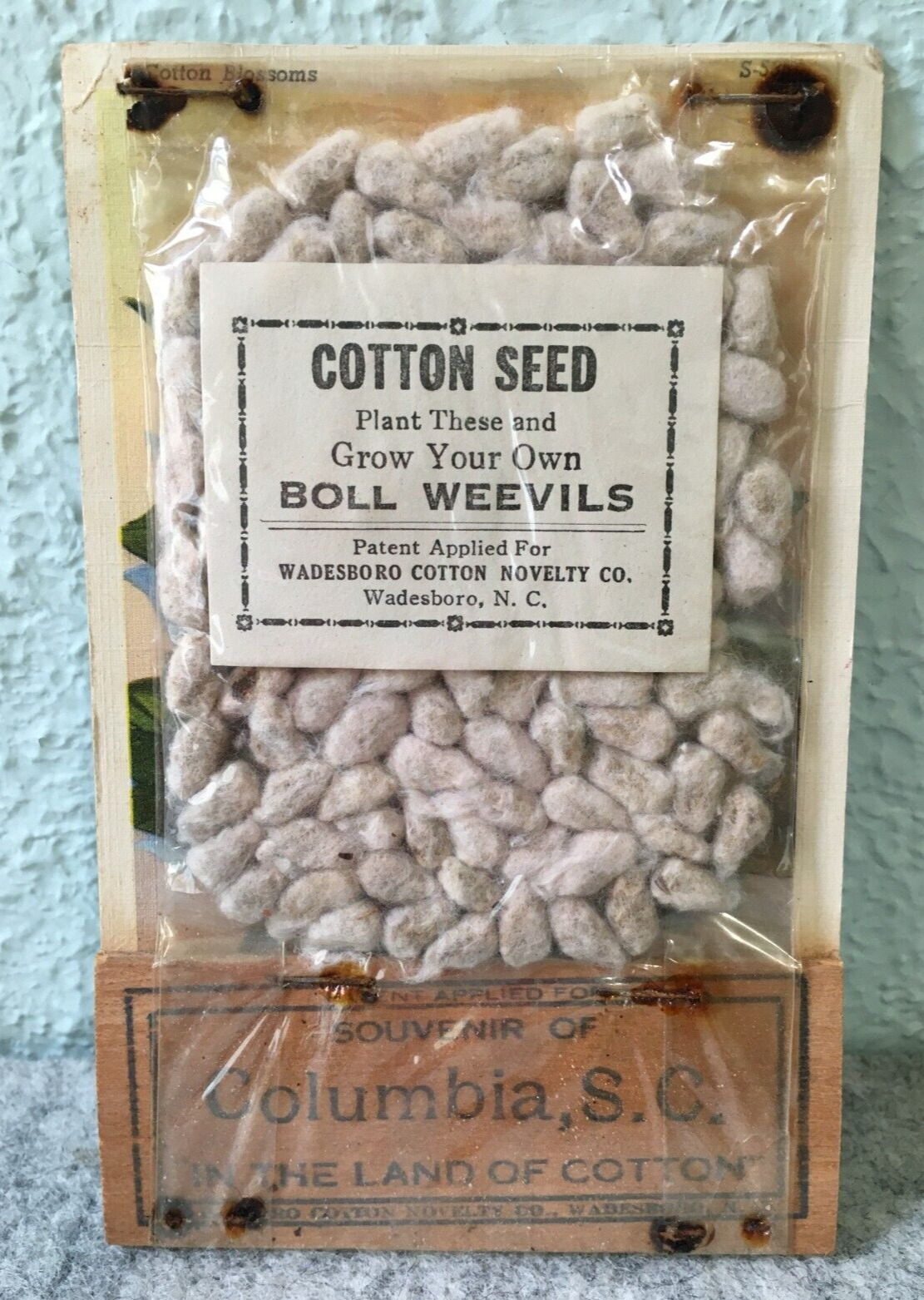 Columbia South Carolina Cotton Seed & Boll Weevils 1 Cent Wood Post Card Vintage