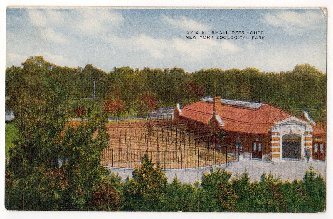 New York Zoological Park c1910 Bronx Zoo, Small Deer House, Official Post Card