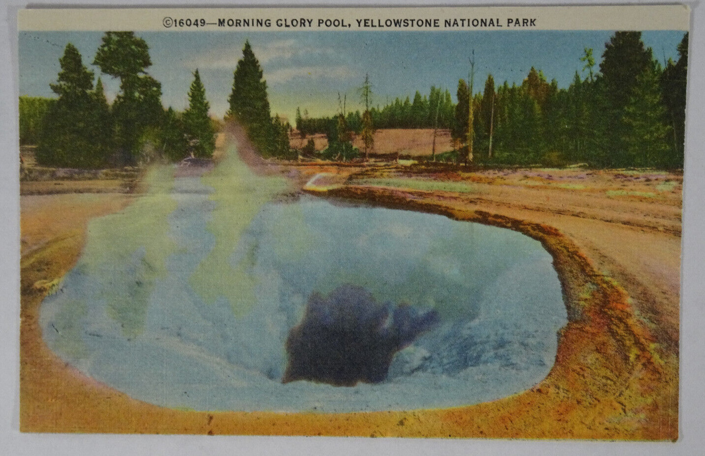 c1955 Linen Postcard Morning Glory Pool Yellowstone National Park WY Unposted US