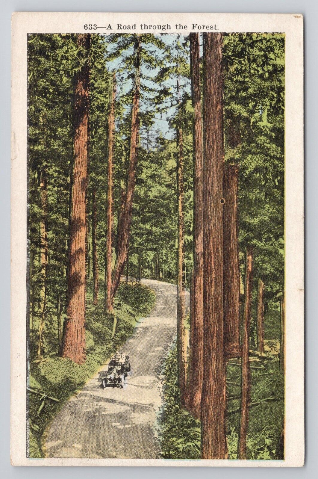 Postcard A Road through The Forest 1928