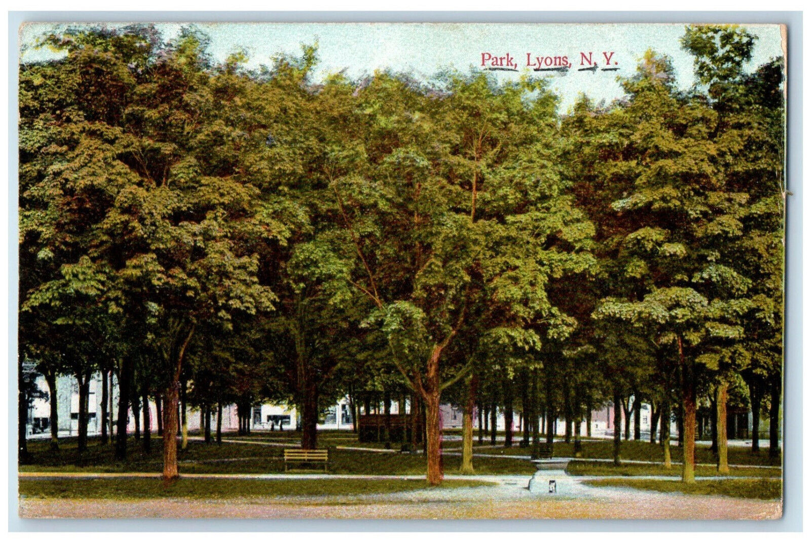 1907 Park Garden Tree-lined Nature Scene Lyons New York NY Antique Postcard
