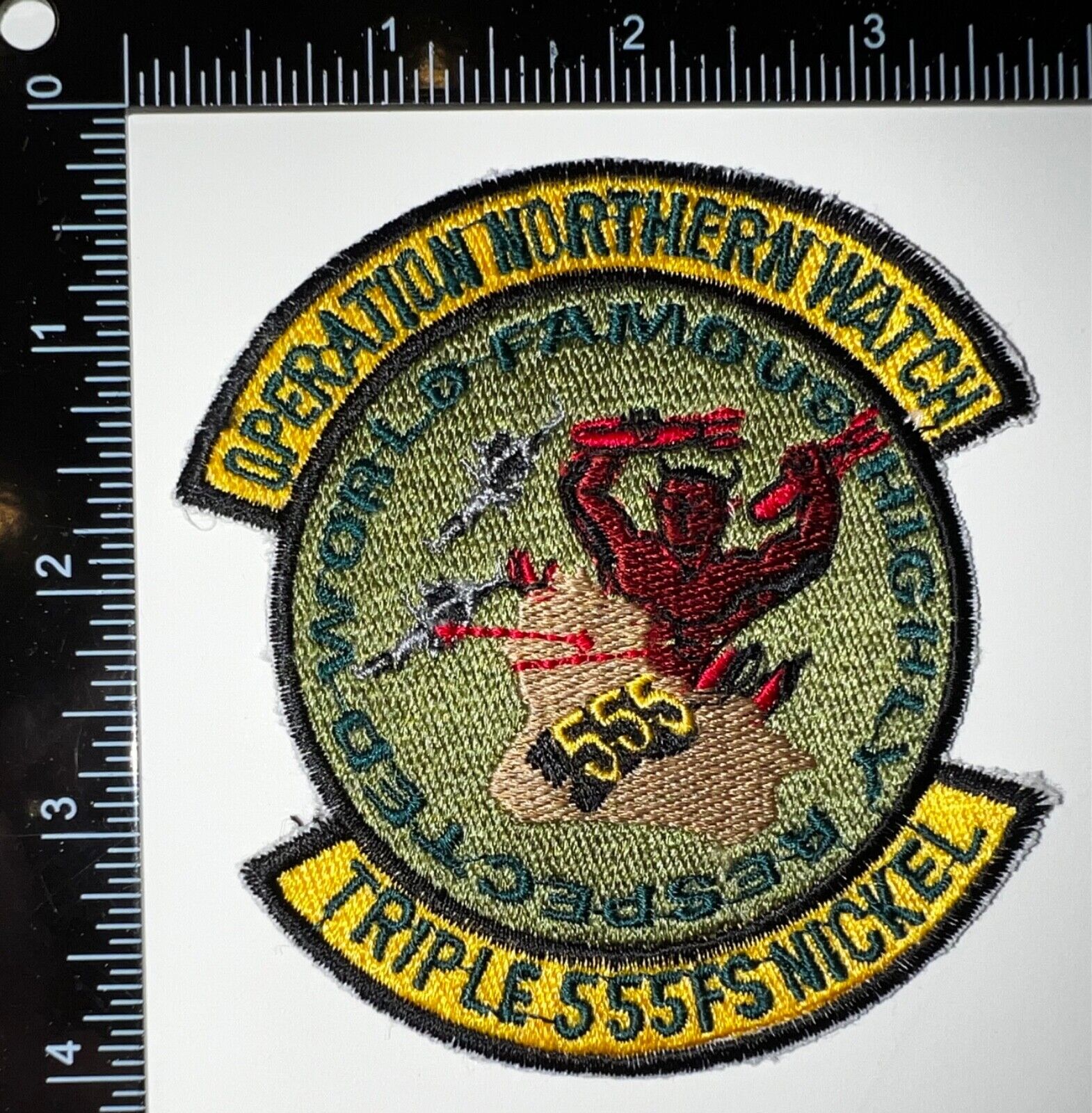 Operation Northern Watch Turkey USAF 555th Fighter Squadron Triple Nickel Patch