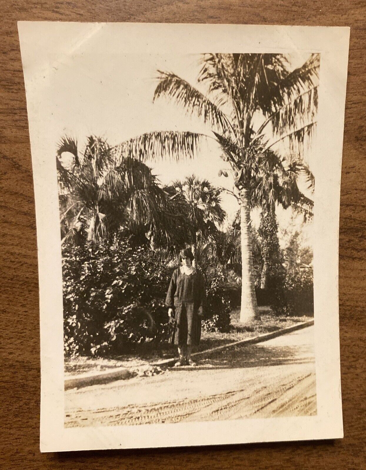 Vintage 1920s Palm Beach Florida FL Woman Dress Palm Tree Real Photo P10j14