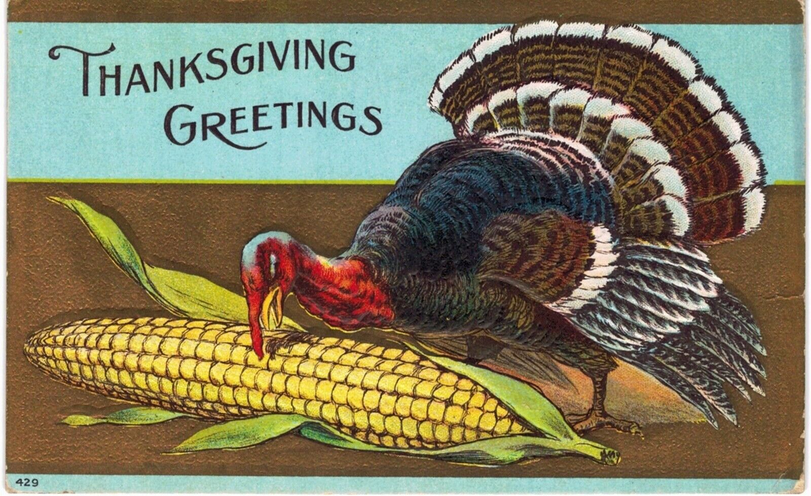 Thanksgiving Tom Turkey Eats Corn Cob 1908 