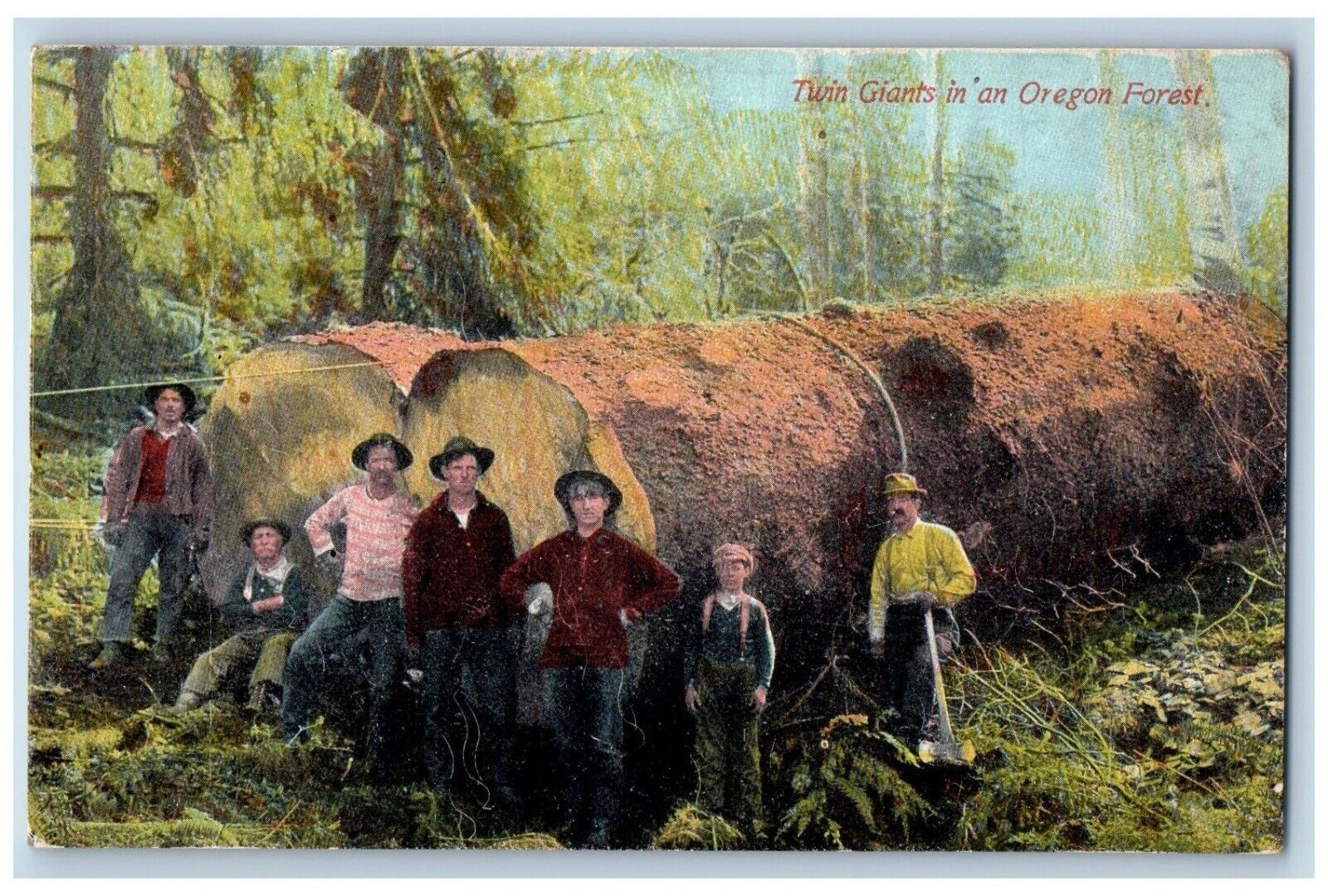 Sherwood Oregon OR Postcard Twin Giants In An Oregon Forest c1910\'s Antique