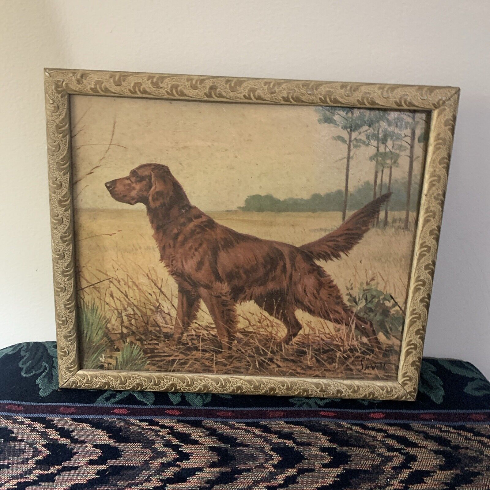 Vintage Signed Savitt Painting Framed Irish Setter Dog Print on Board 11x13