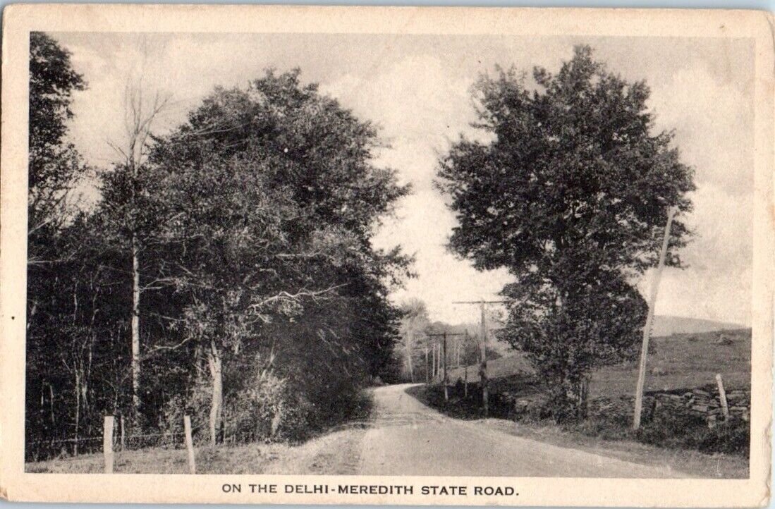 1920s On the Delhi-Meredith State Road Delhi NY Postcard
