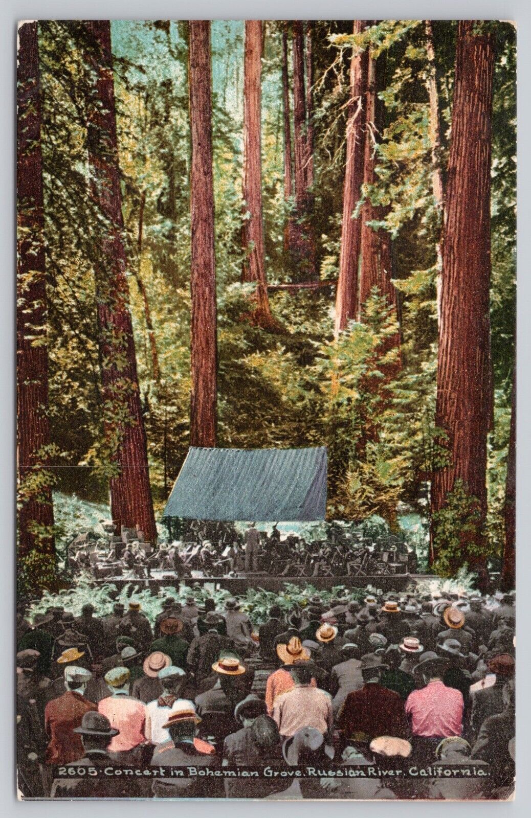 Monte Rio California, Bohemian Grove Concert, Russian River, Vintage Postcard