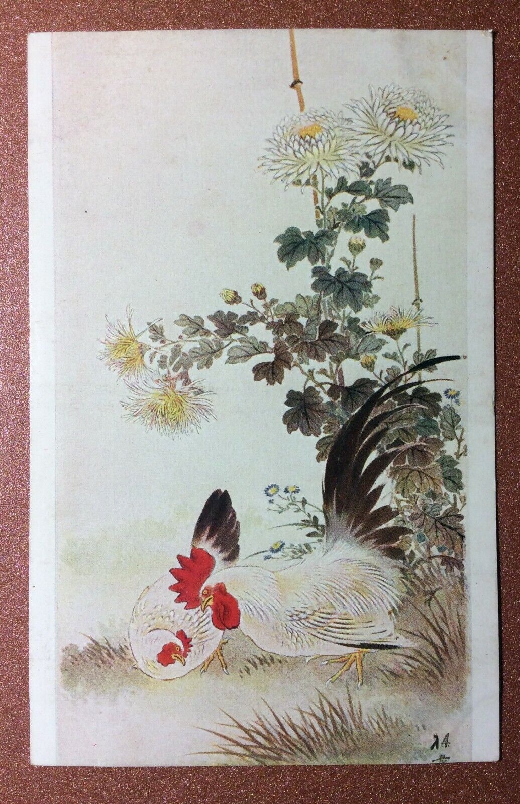 Tsarist Russia postcard 1909s JAPAN silk Kakemono. Rooster. Chrysanthemum