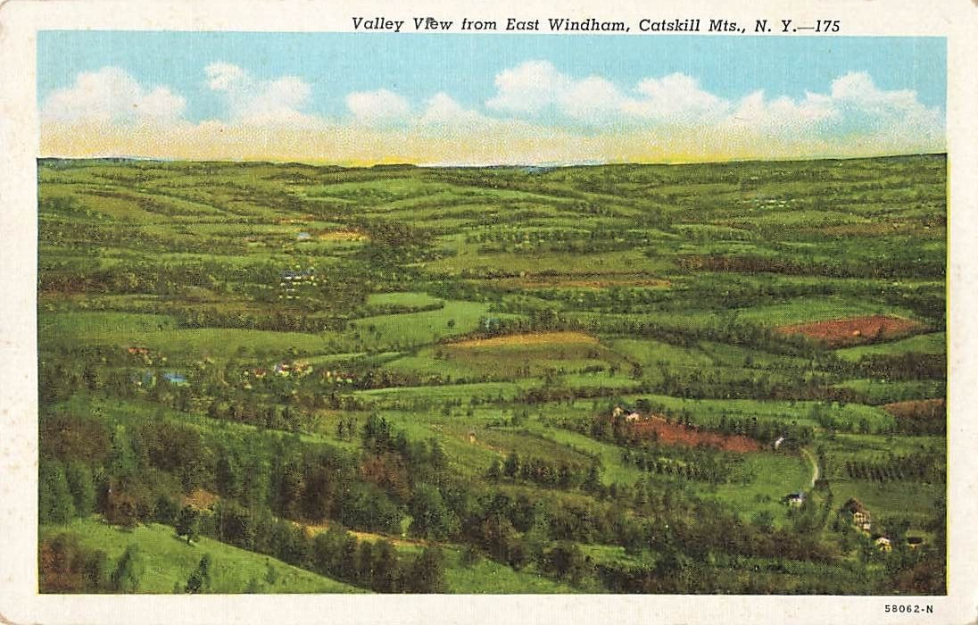 Postcard Valley View from East Windham Catskill Mountains New York NY WB