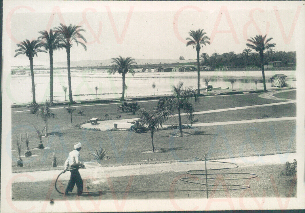 WW2 era 1940s Ismalia Waterfront Egypt 3.3x2.3\