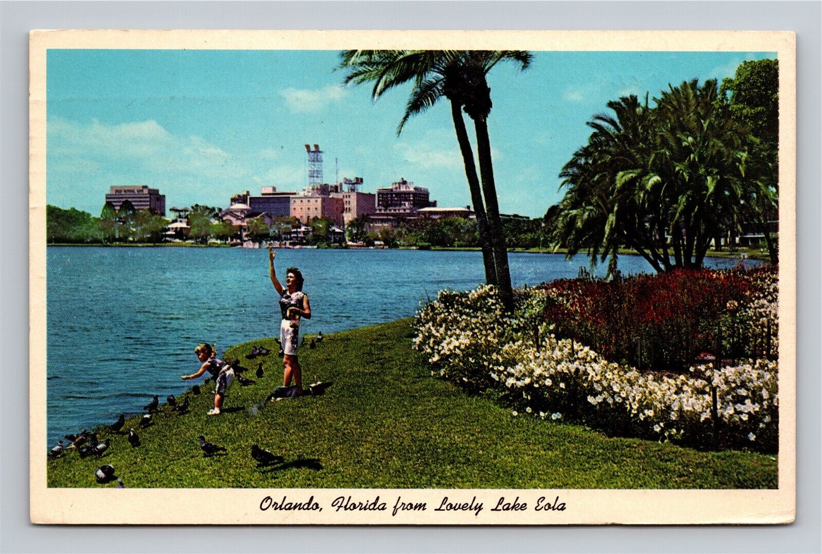 Orlando FL View from Lake Eola Girl Child Feeding Pigeons Vtg Postcard View