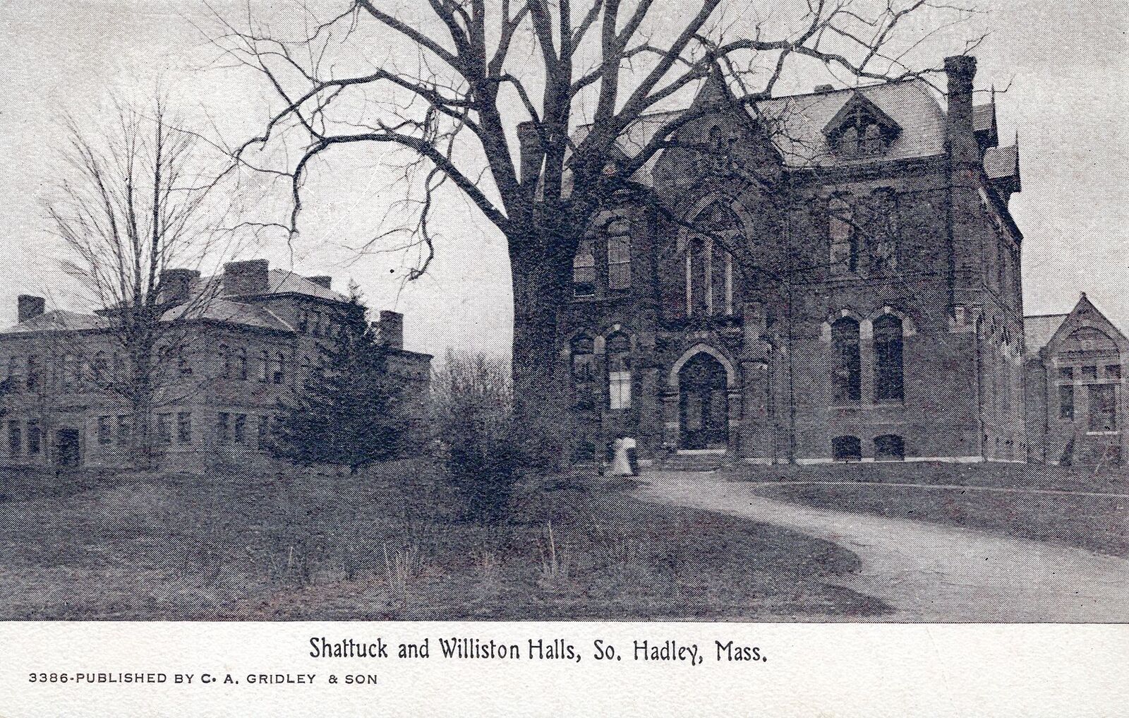 SOUTH HADLEY MA - Shattuck And Williston Halls Postcard
