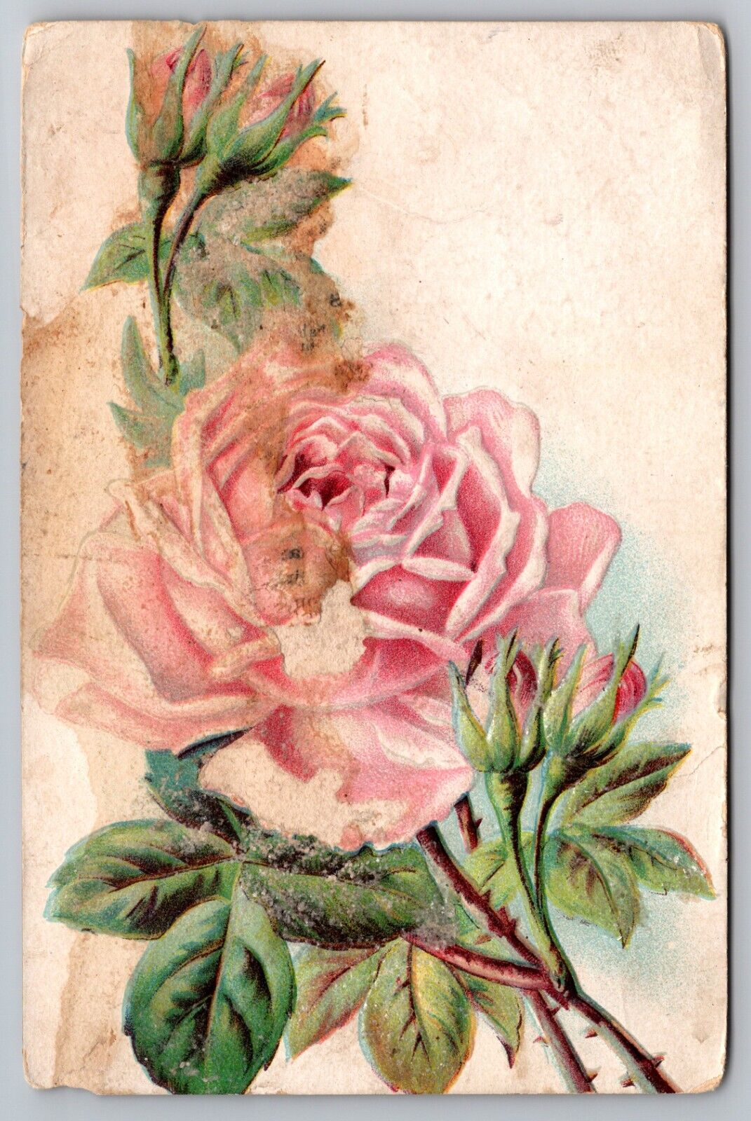 Postcard: Valentine, Romance, Embossed, Glitter, Roses, Posted 1909