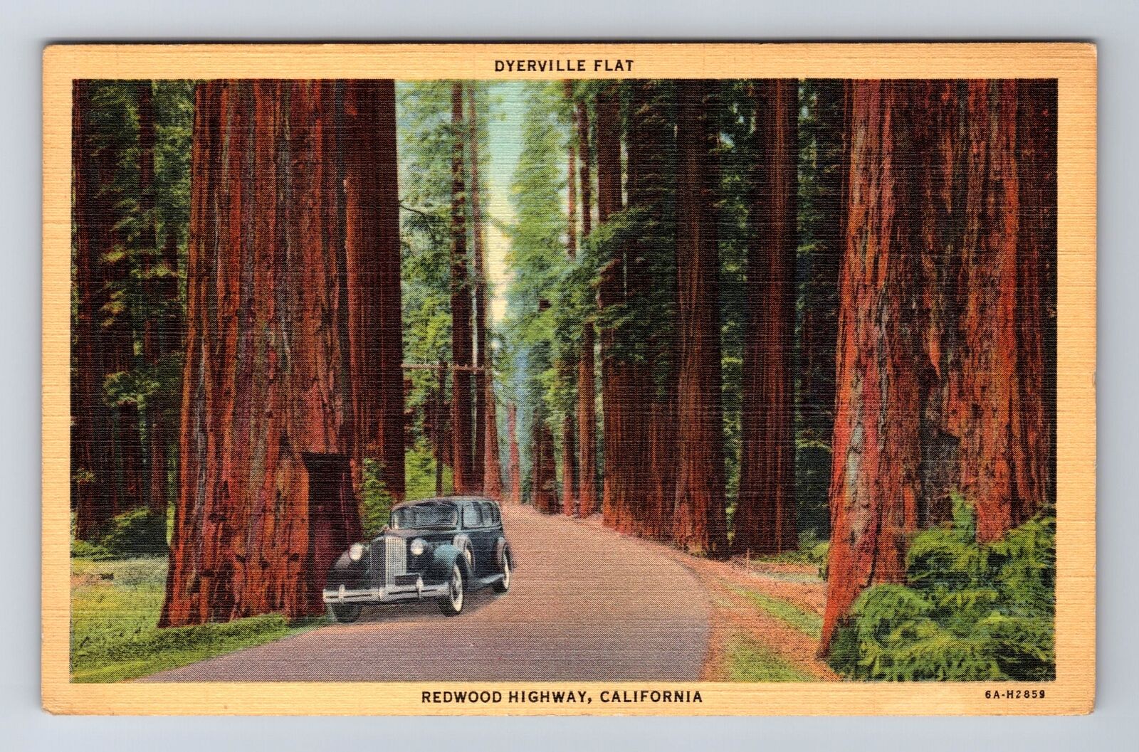 Dyerville Flat CA-California, Vintage Car on Redwood Highway, Vintage Postcard