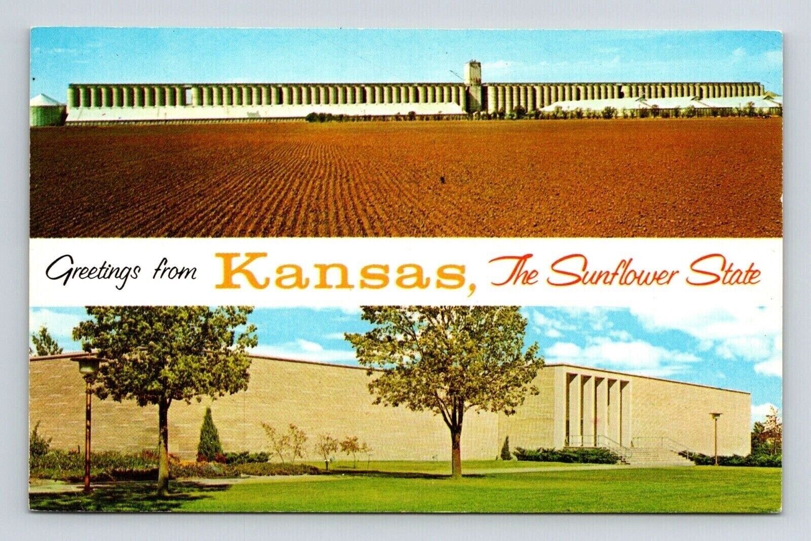 Greetings From Kansas KS Sunflower State Dual View Postcard UNP VTG Dexter
