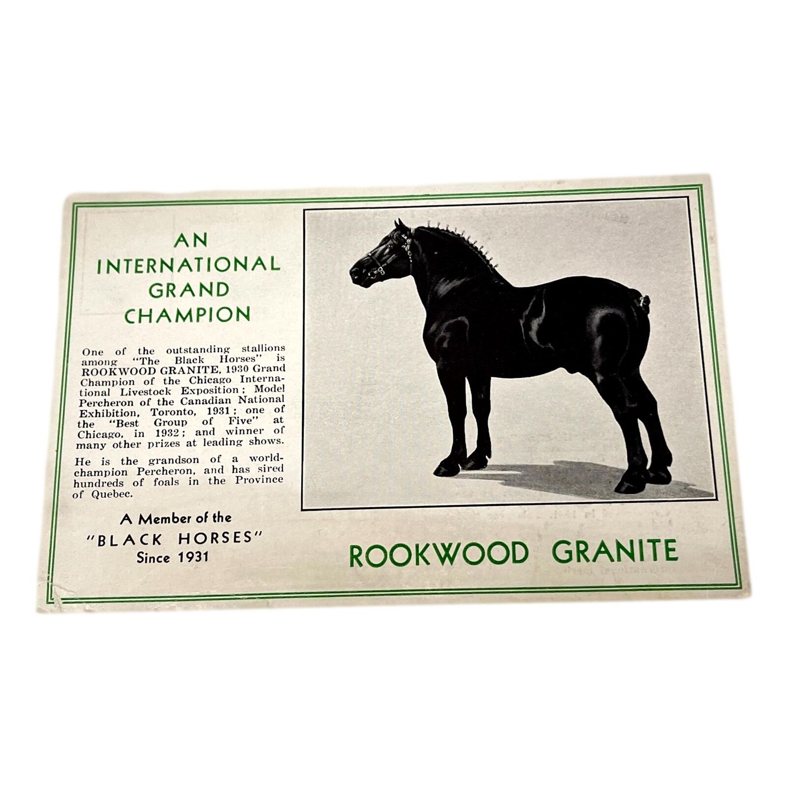 Rookwood Granite Champion Horse Postcard 1931 International Percheron